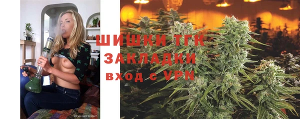 твердый Няндома